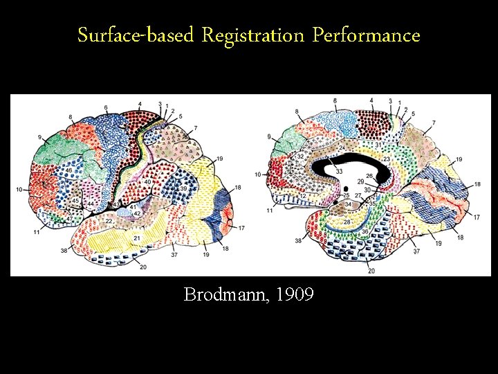 Surface-based Registration Performance Brodmann, 1909 