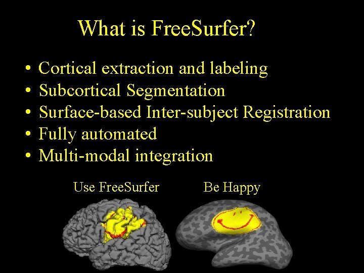 What is Free. Surfer? • • • Cortical extraction and labeling Subcortical Segmentation Surface-based