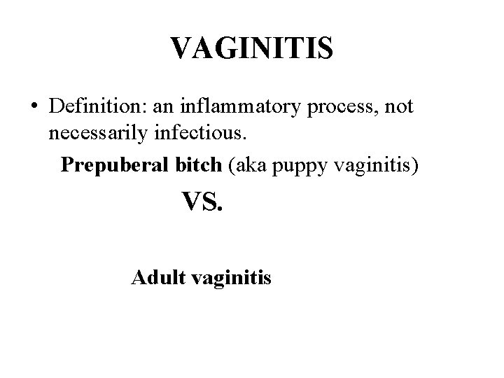 VAGINITIS • Definition: an inflammatory process, not necessarily infectious. Prepuberal bitch (aka puppy vaginitis)