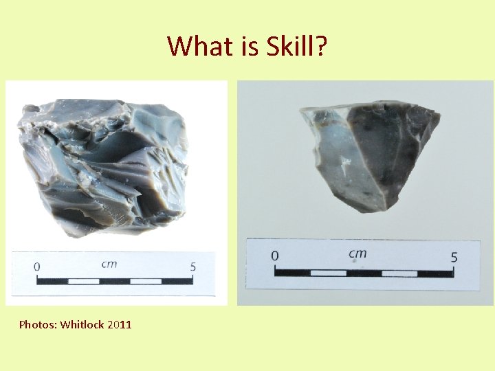 What is Skill? Photos: Whitlock 2011 