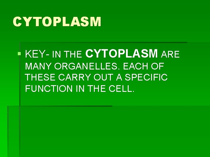 CYTOPLASM § KEY- IN THE CYTOPLASM ARE MANY ORGANELLES. EACH OF THESE CARRY OUT CYTOPLASM § KEY- IN THE CYTOPLASM ARE MANY ORGANELLES. EACH OF THESE CARRY OUT