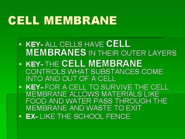 CELL MEMBRANE § KEY- ALL CELLS HAVE CELL MEMBRANES IN THEIR OUTER LAYERS § CELL MEMBRANE § KEY- ALL CELLS HAVE CELL MEMBRANES IN THEIR OUTER LAYERS §