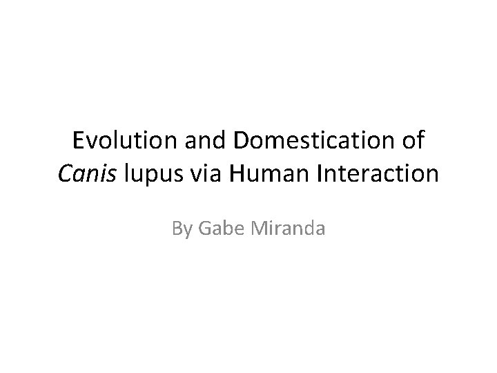 Evolution and Domestication of Canis lupus via Human Interaction By Gabe Miranda 