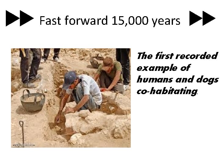 Fast forward 15, 000 years The first recorded example of humans and dogs co-habitating.