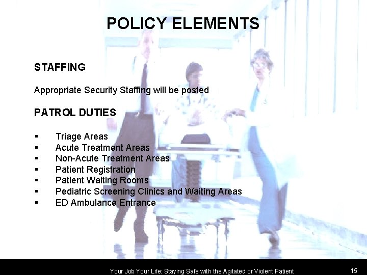 POLICY ELEMENTS STAFFING Appropriate Security Staffing will be posted PATROL DUTIES § § §