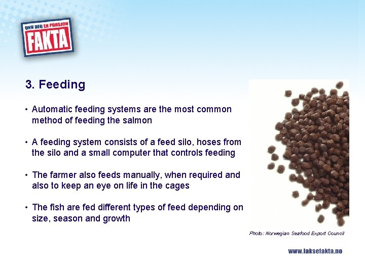 3. Feeding • Automatic feeding systems are the most common method of feeding the