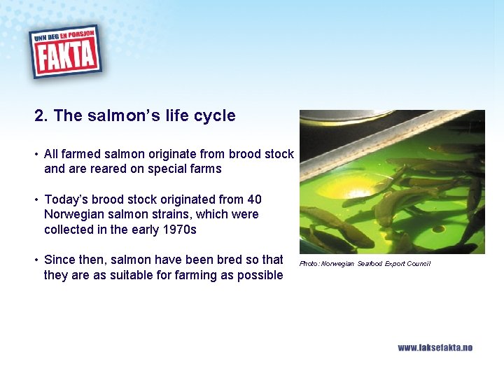 2. The salmon’s life cycle • All farmed salmon originate from brood stock and