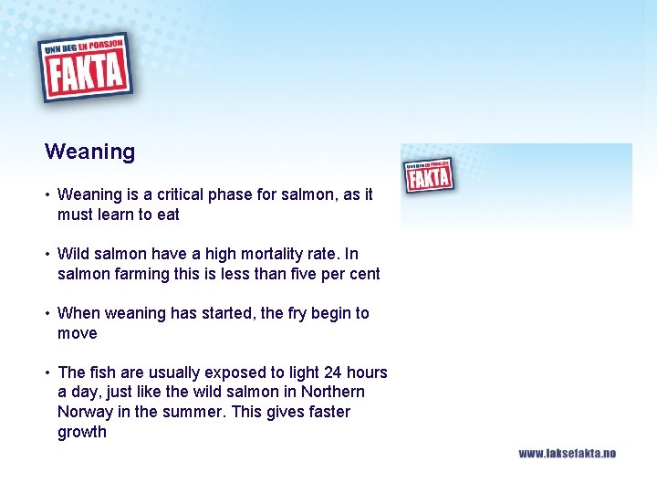 Weaning • Weaning is a critical phase for salmon, as it must learn to