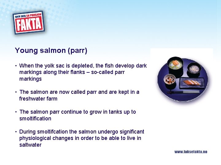 Young salmon (parr) • When the yolk sac is depleted, the fish develop dark