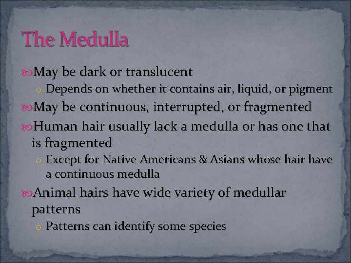 The Medulla May be dark or translucent o Depends on whether it contains air,