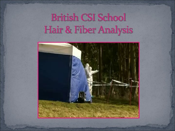 British CSI School Hair & Fiber Analysis 