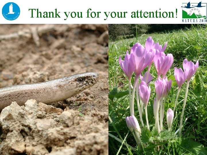 Thank you for your attention! 