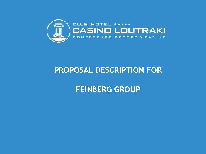 PROPOSAL DESCRIPTION FOR FEINBERG GROUP 