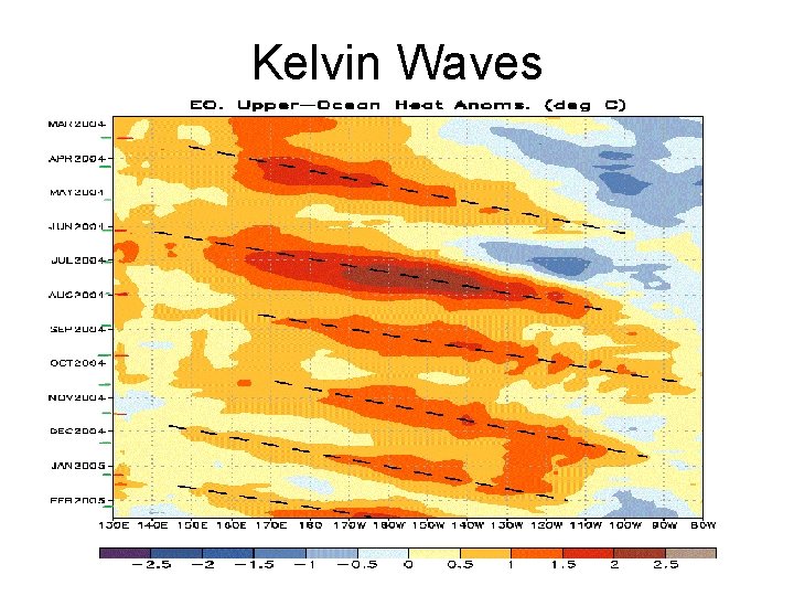 Kelvin Waves 