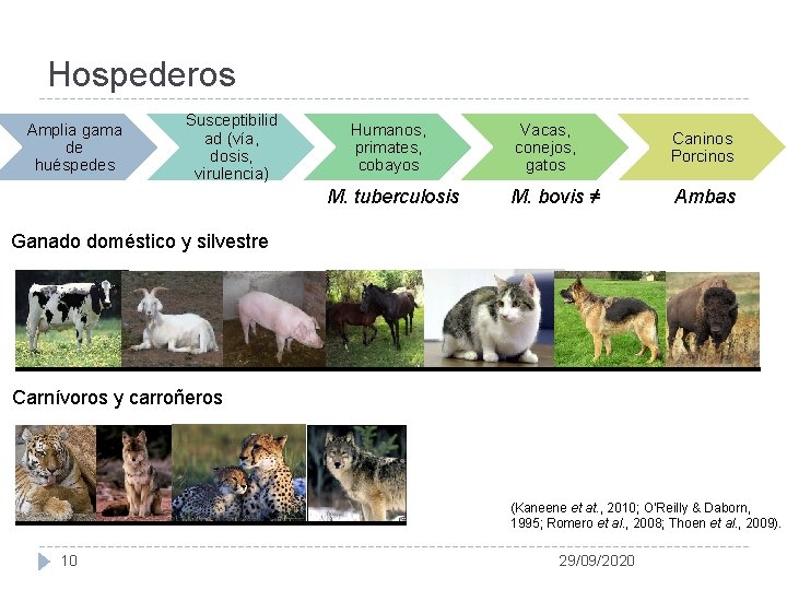 Hospederos Amplia gama de huéspedes Susceptibilid ad (vía, dosis, virulencia) Humanos, primates, cobayos M.