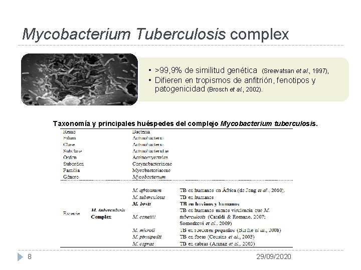 Mycobacterium Tuberculosis complex • >99, 9% de similitud genética (Sreevatsan et al. , 1997),