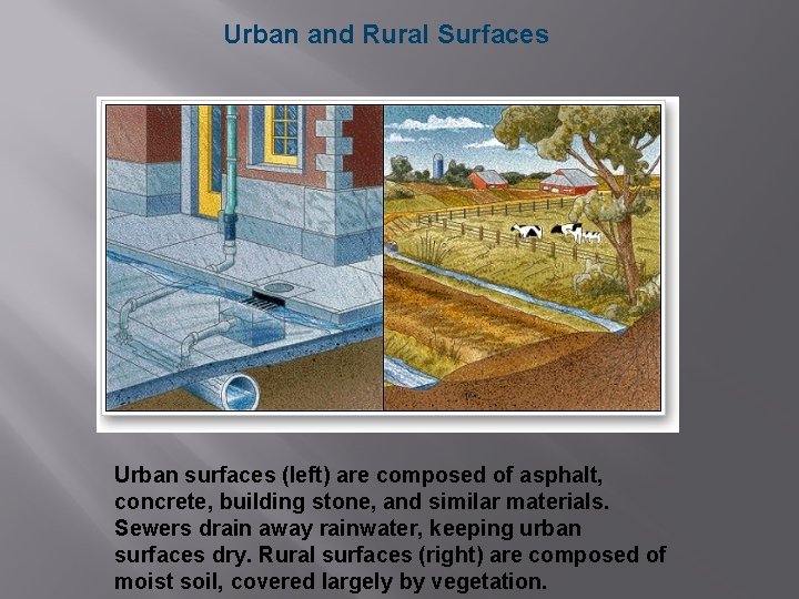 Urban and Rural Surfaces Urban surfaces (left) are composed of asphalt, concrete, building stone,