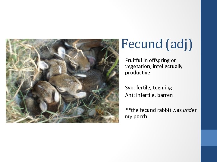 Fecund (adj) Fruitful in offspring or vegetation; intellectually productive Syn: fertile, teeming Ant: infertile, Fecund (adj) Fruitful in offspring or vegetation; intellectually productive Syn: fertile, teeming Ant: infertile,