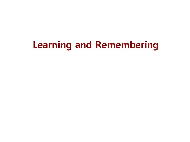 Learning and Remembering 