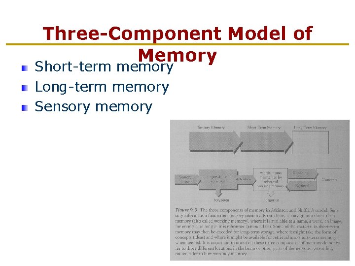 Three-Component Model of Memory Short-term memory Long-term memory Sensory memory 
