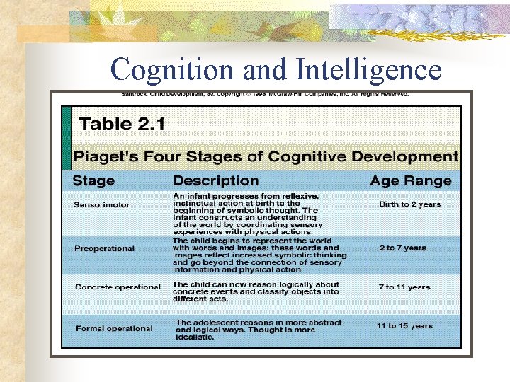 Cognition and Intelligence 