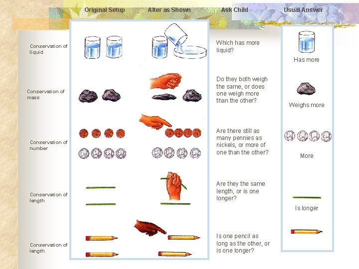 Original Setup Conservation of liquid Alter as Shown Ask Child Usual Answer Which has