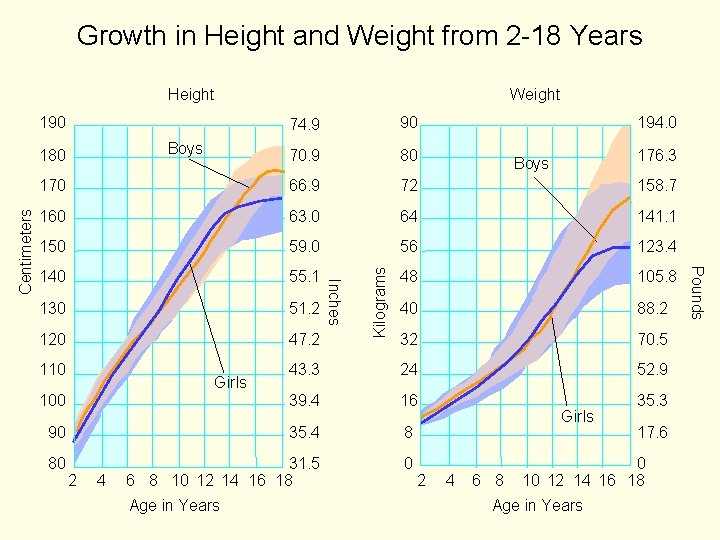 Growth in Height and Weight from 2 -18 Years Height 90 70. 9 80