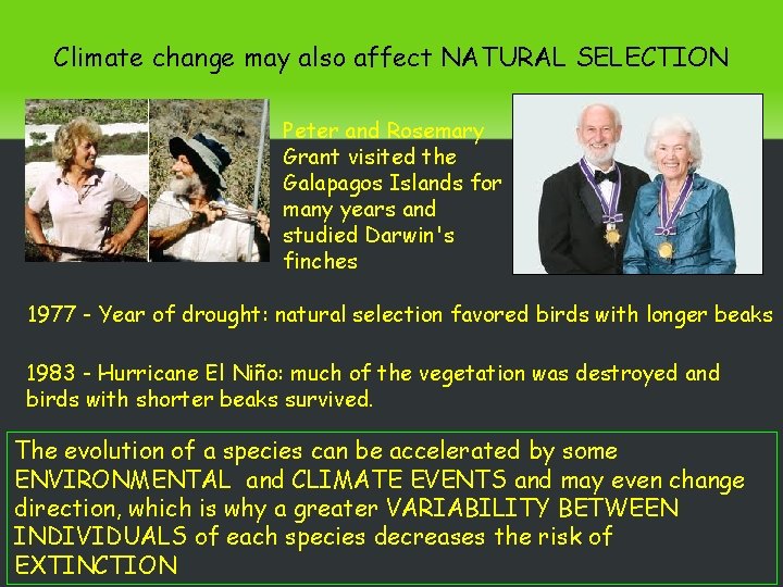 Climate change may also affect NATURAL SELECTION Peter and Rosemary Grant visited the Galapagos