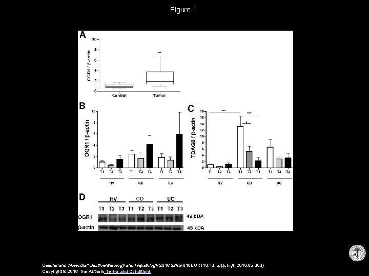 Figure 1 Cellular and Molecular Gastroenterology and Hepatology 2016 2796 -810 DOI: (10. 1016/j.