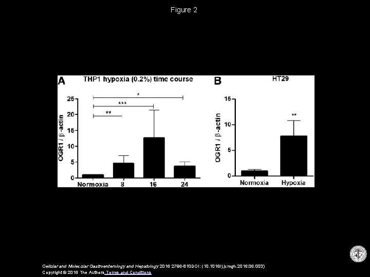 Figure 2 Cellular and Molecular Gastroenterology and Hepatology 2016 2796 -810 DOI: (10. 1016/j.