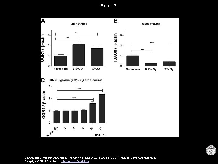 Figure 3 Cellular and Molecular Gastroenterology and Hepatology 2016 2796 -810 DOI: (10. 1016/j.