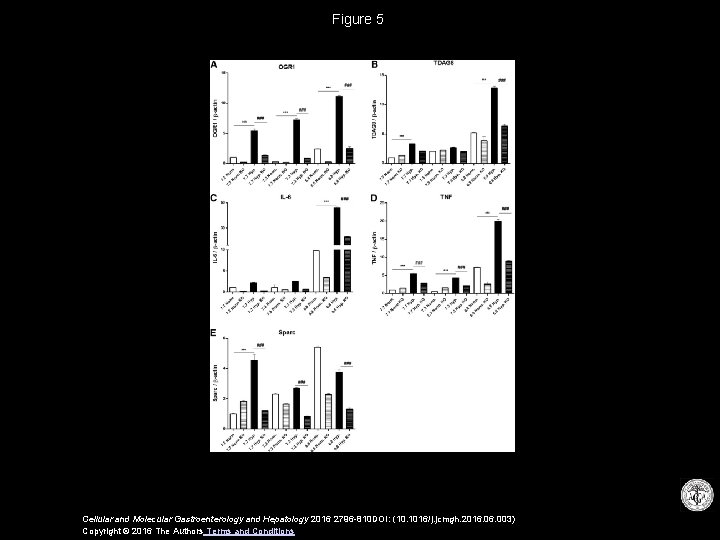 Figure 5 Cellular and Molecular Gastroenterology and Hepatology 2016 2796 -810 DOI: (10. 1016/j.