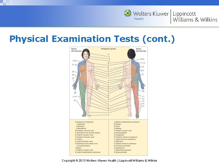 Physical Examination Tests (cont. ) Copyright © 2013 Wolters Kluwer Health | Lippincott Williams