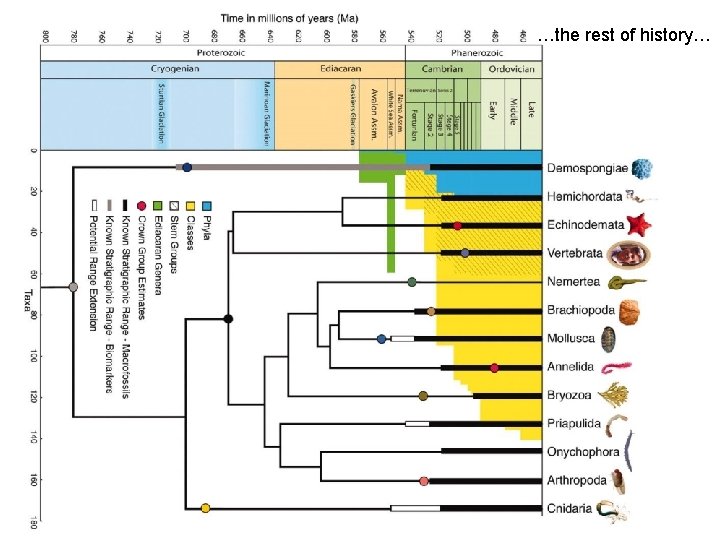 …the rest of history… 