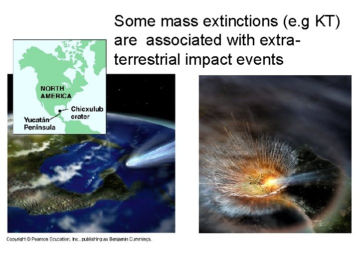 Some mass extinctions (e. g KT) are associated with extraterrestrial impact events 