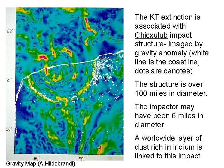 The KT extinction is associated with Chicxulub impact structure- imaged by gravity anomaly (white
