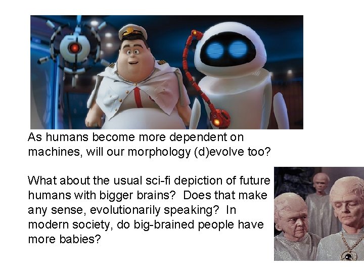 As humans become more dependent on machines, will our morphology (d)evolve too? What about