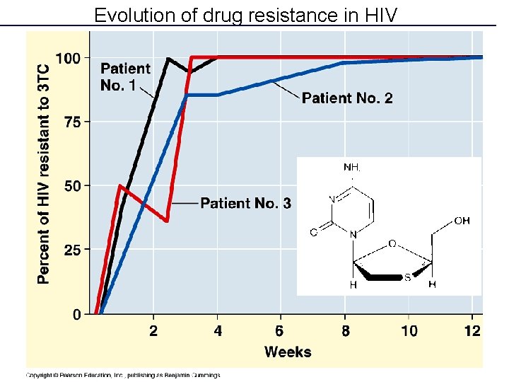 Evolution of drug resistance in HIV 