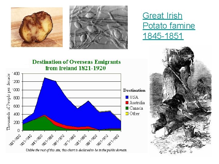 Great Irish Potato famine 1845 -1851 