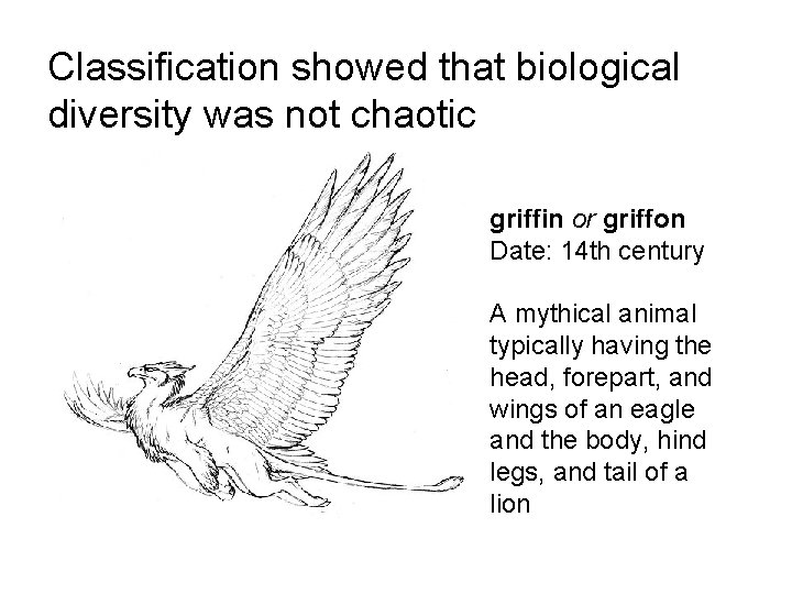 Classification showed that biological diversity was not chaotic griffin or griffon Date: 14 th