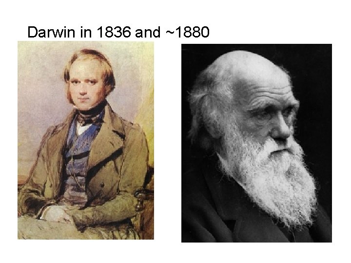 Darwin in 1836 and ~1880 