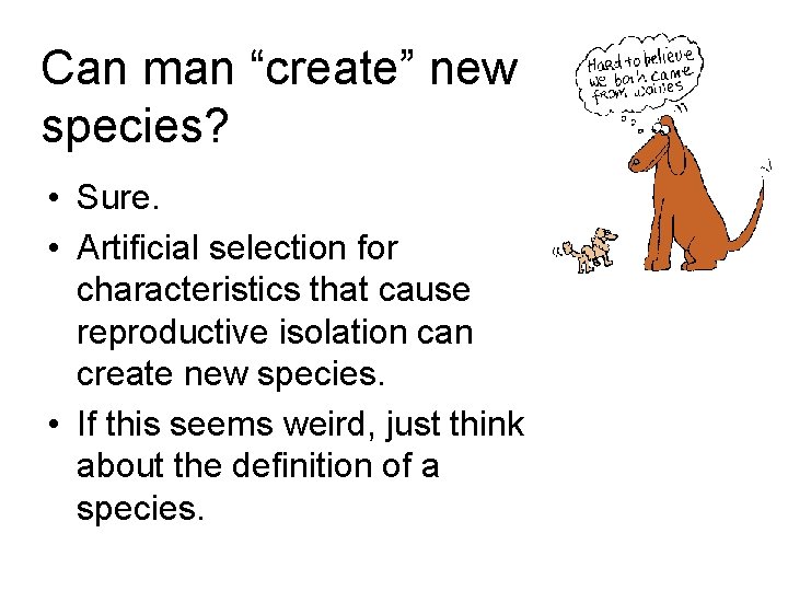 Can man “create” new species? • Sure. • Artificial selection for characteristics that cause