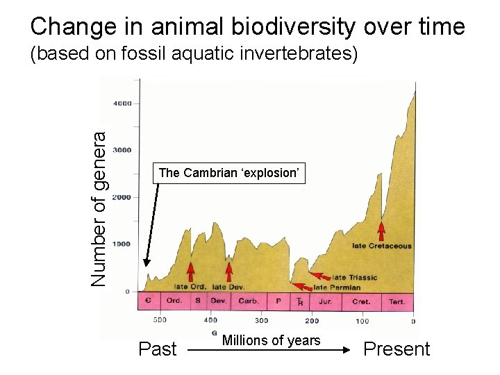 Change in animal biodiversity over time Number of genera (based on fossil aquatic invertebrates)