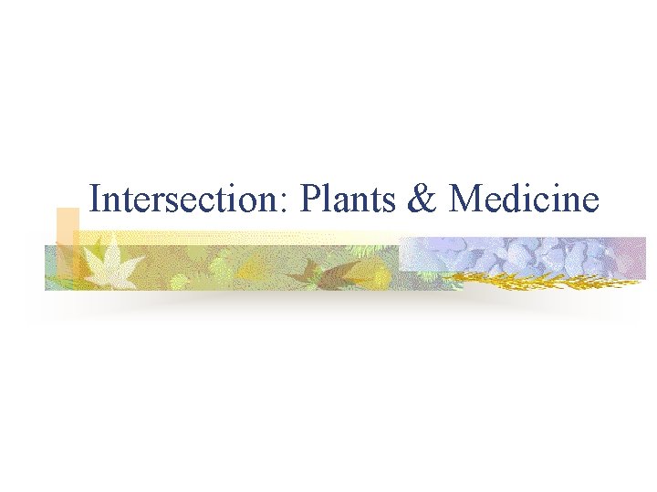 Intersection: Plants & Medicine 