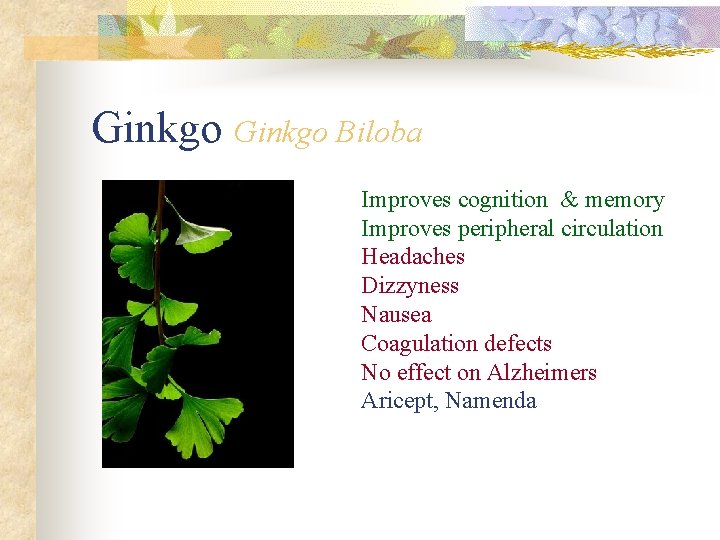 Ginkgo Biloba Improves cognition & memory Improves peripheral circulation Headaches Dizzyness Nausea Coagulation defects