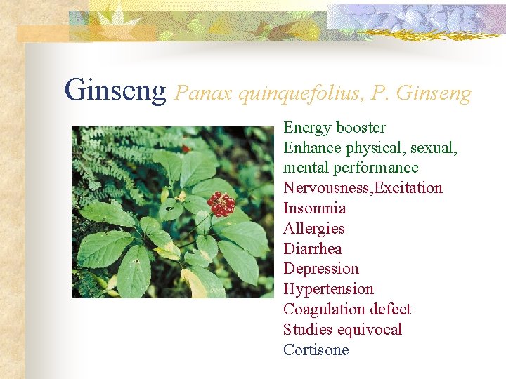Ginseng Panax quinquefolius, P. Ginseng Energy booster Enhance physical, sexual, mental performance Nervousness, Excitation