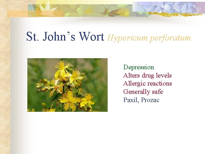 St. John’s Wort Hypericum perforatum Depression Alters drug levels Allergic reactions Generally safe Paxil,