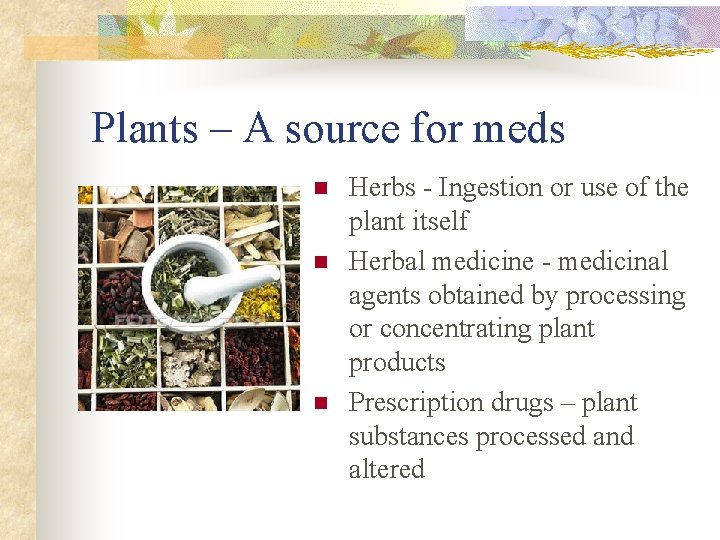 Plants – A source for meds n n n Herbs - Ingestion or use