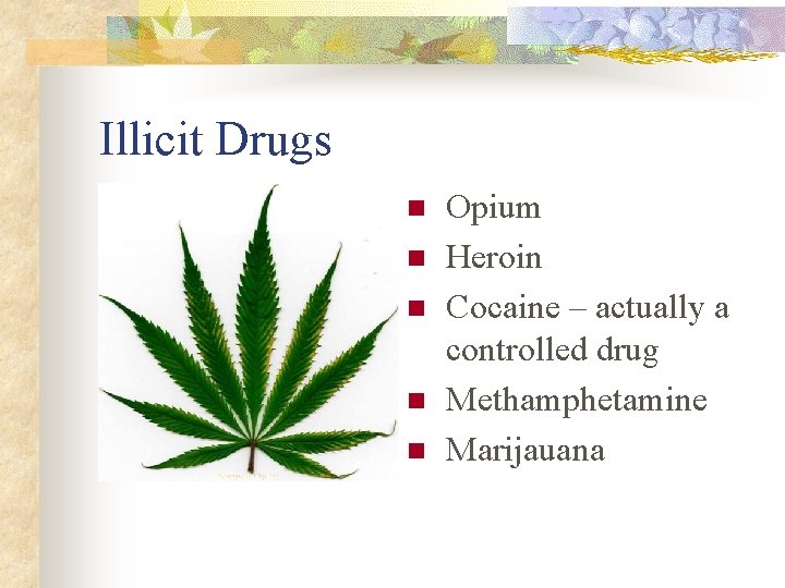 Illicit Drugs n n n Opium Heroin Cocaine – actually a controlled drug Methamphetamine