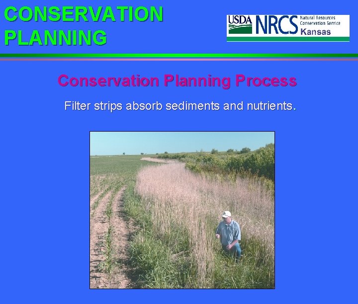 CONSERVATION PLANNING Conservation Planning Process Filter strips absorb sediments and nutrients. 